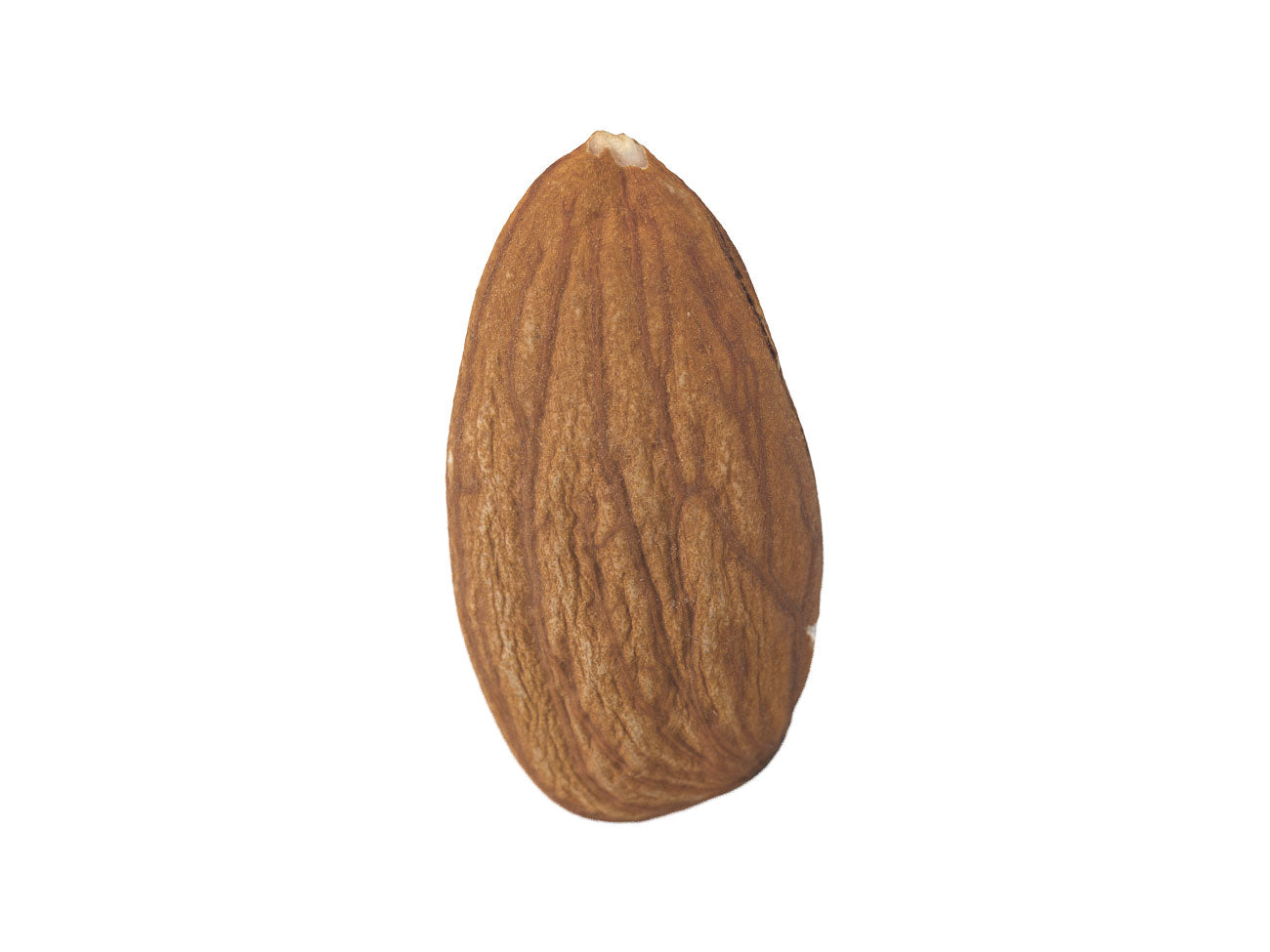 Almond #1