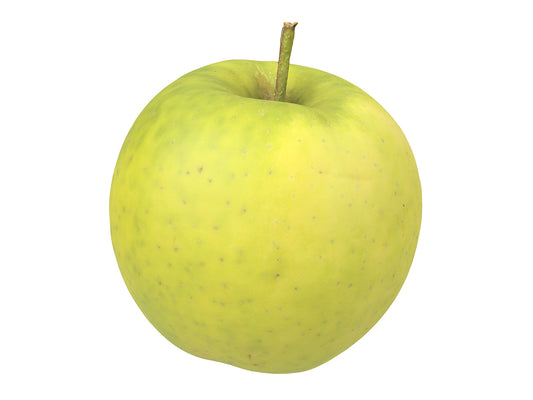 Apple #5