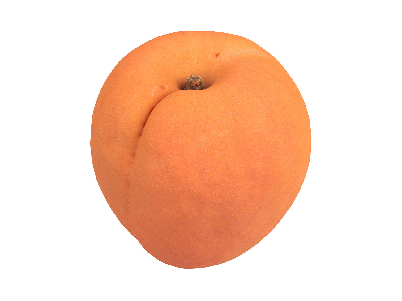 Apricot #2