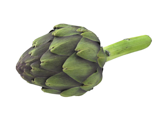 Artichoke #1