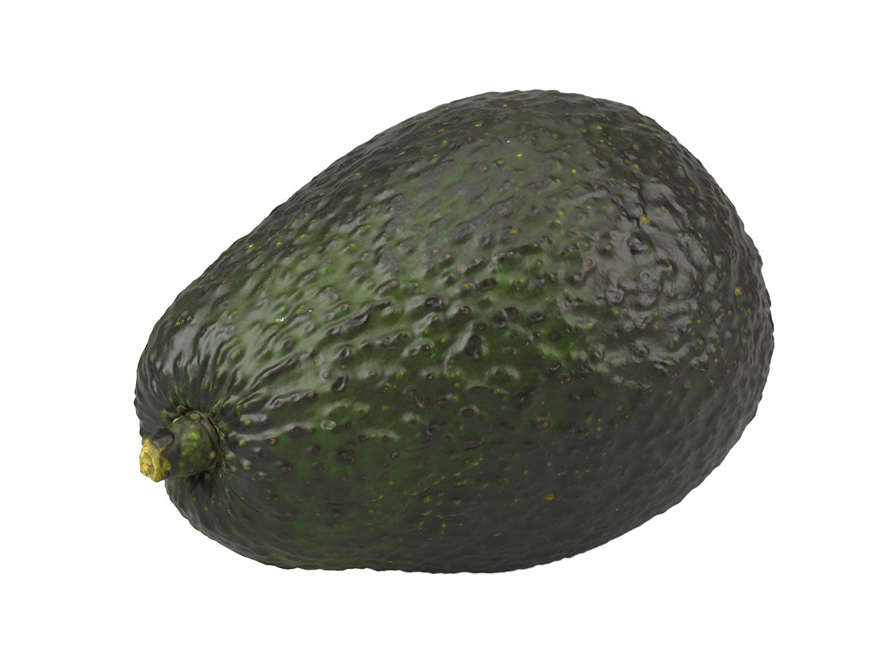 Avocado #1