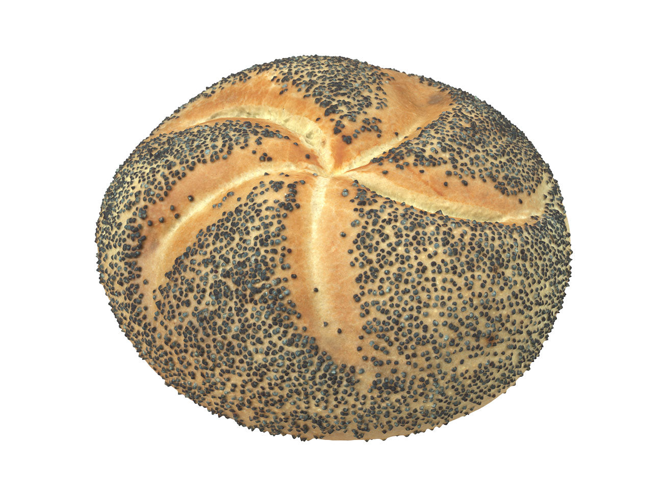 Poppy Seed Bread Roll #1