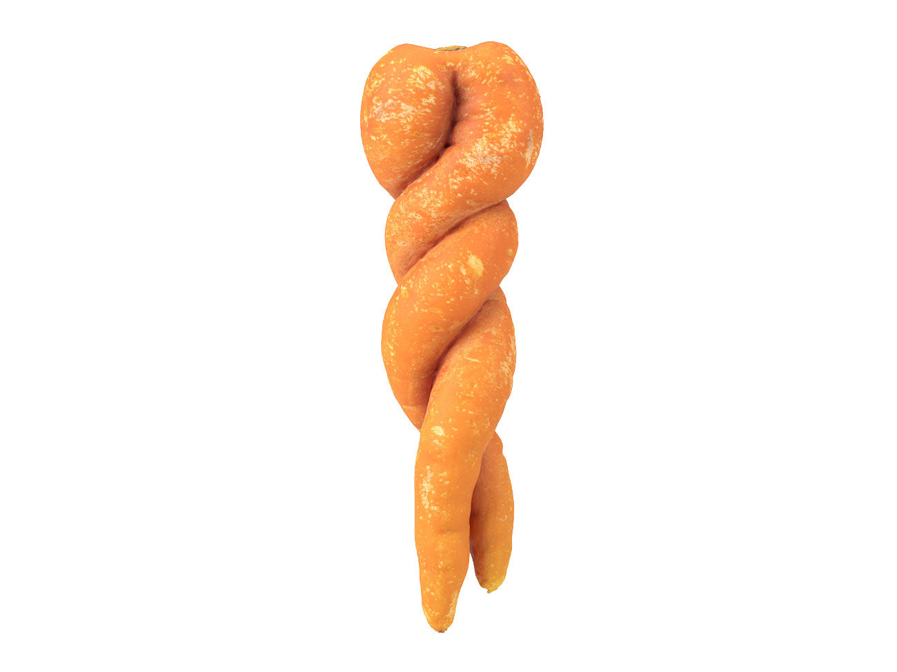 Unique Carrot #1