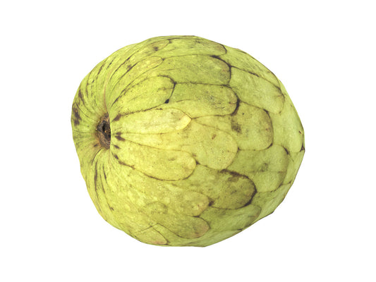 Cherimoya #1