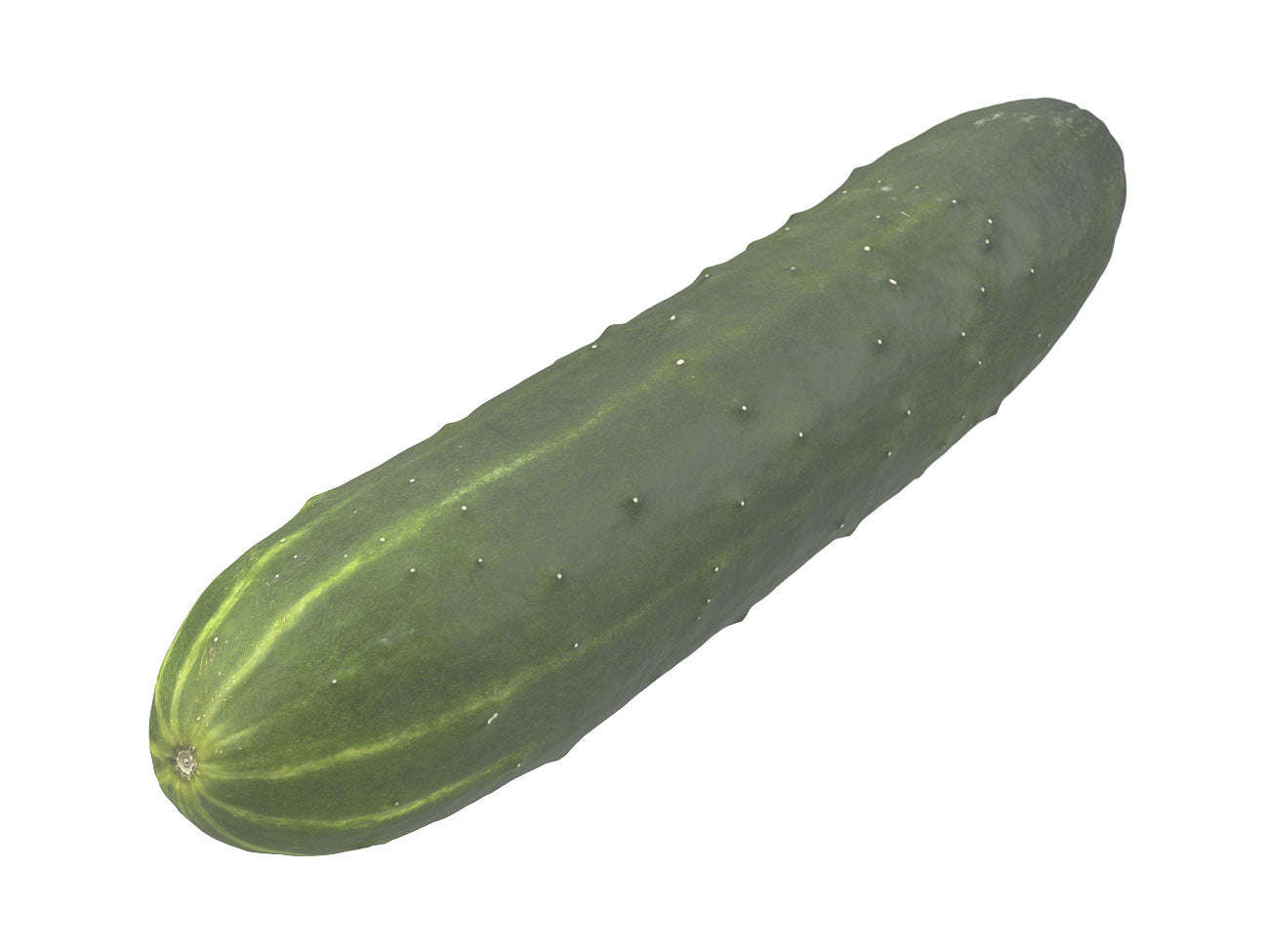 Cucumber #1