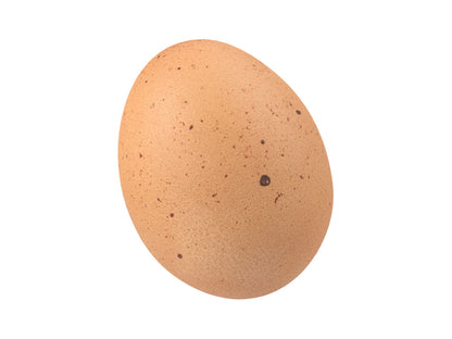 Egg #1