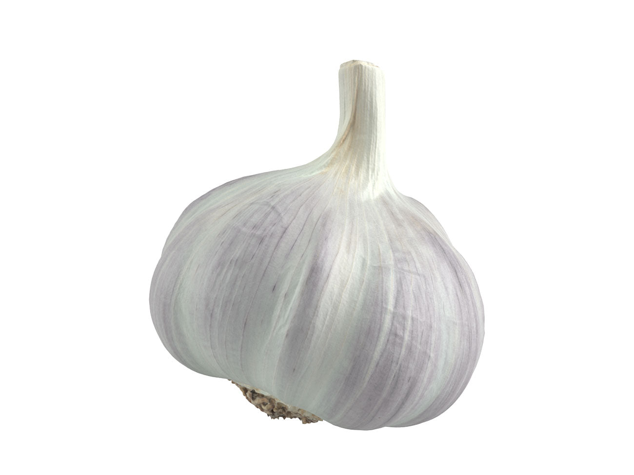 Garlic #1