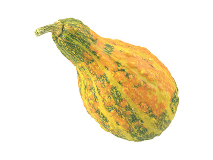 Decorative Gourd #1