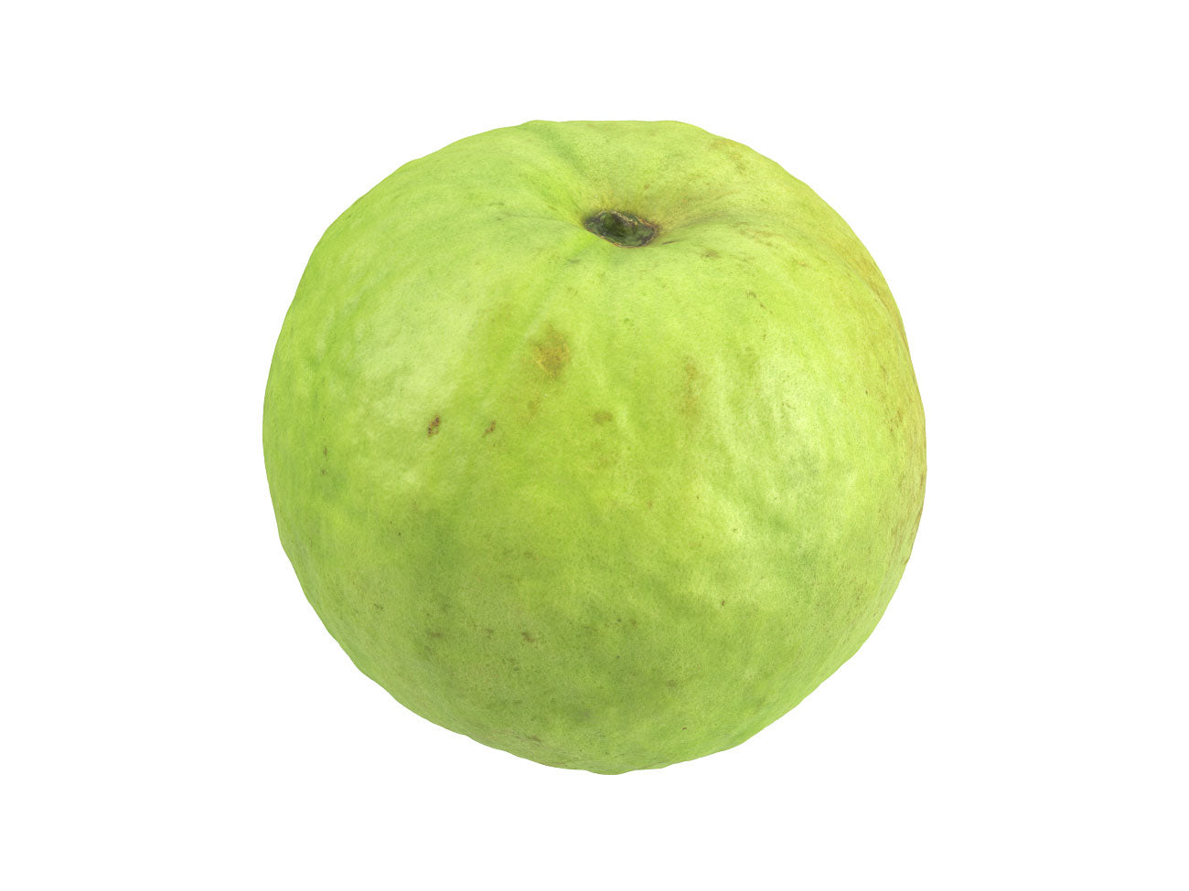 Guava #1