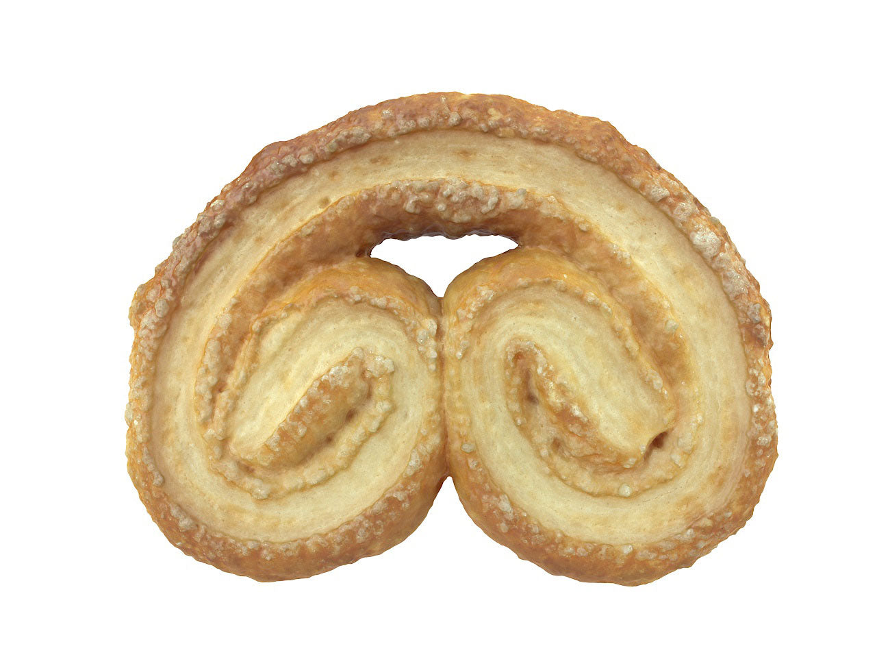 Palmier Biscuit #1