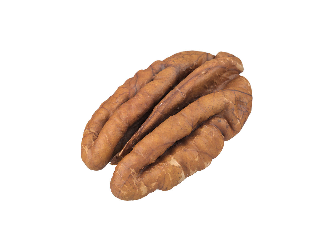 Pecan Nut #1