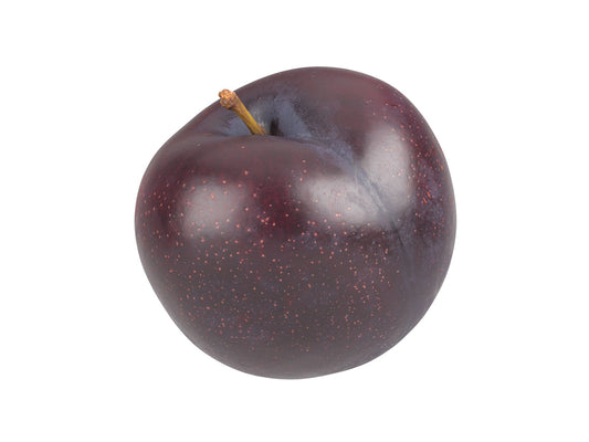 Plum #2