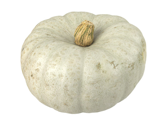 Kabocha Squash #1