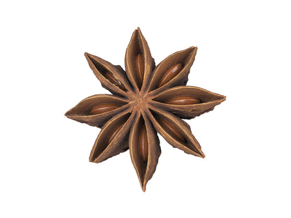 Star Anise #2