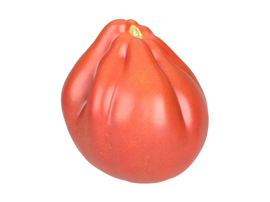 Oxheart Tomato #1