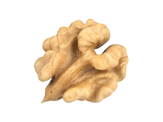 Walnut Kernel #1