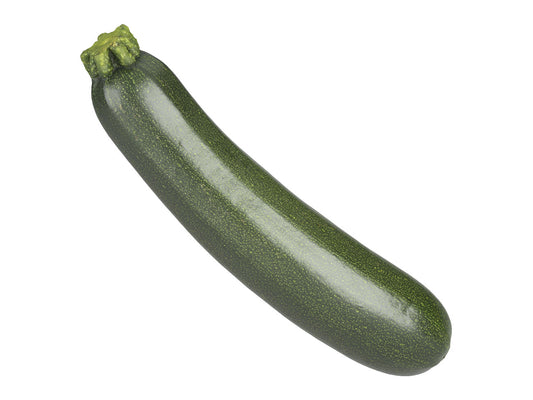 Zucchini #1