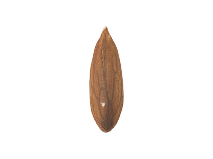 Almond #1