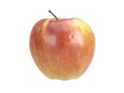 Apple #1