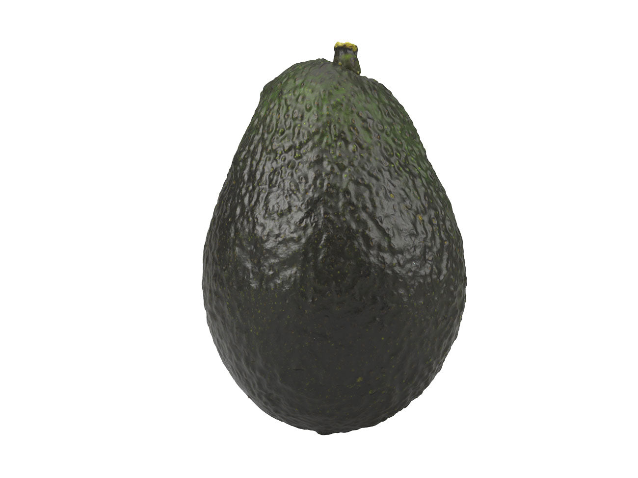 Avocado #1