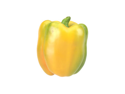 Bell Pepper #1