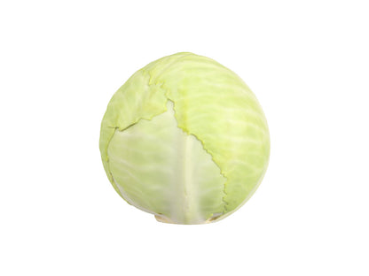 Cabbage #1