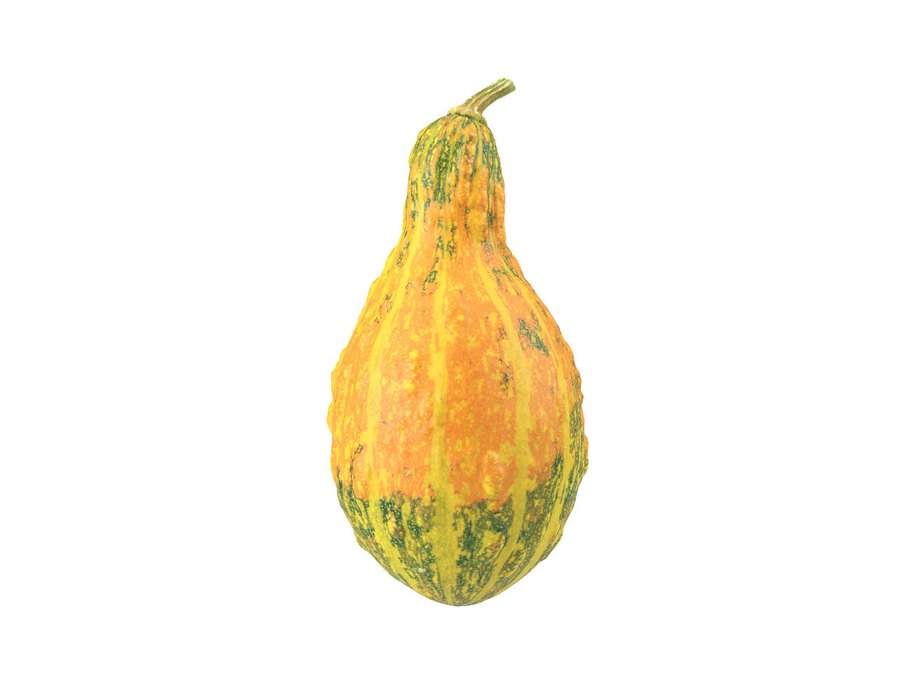 Decorative Gourd #1