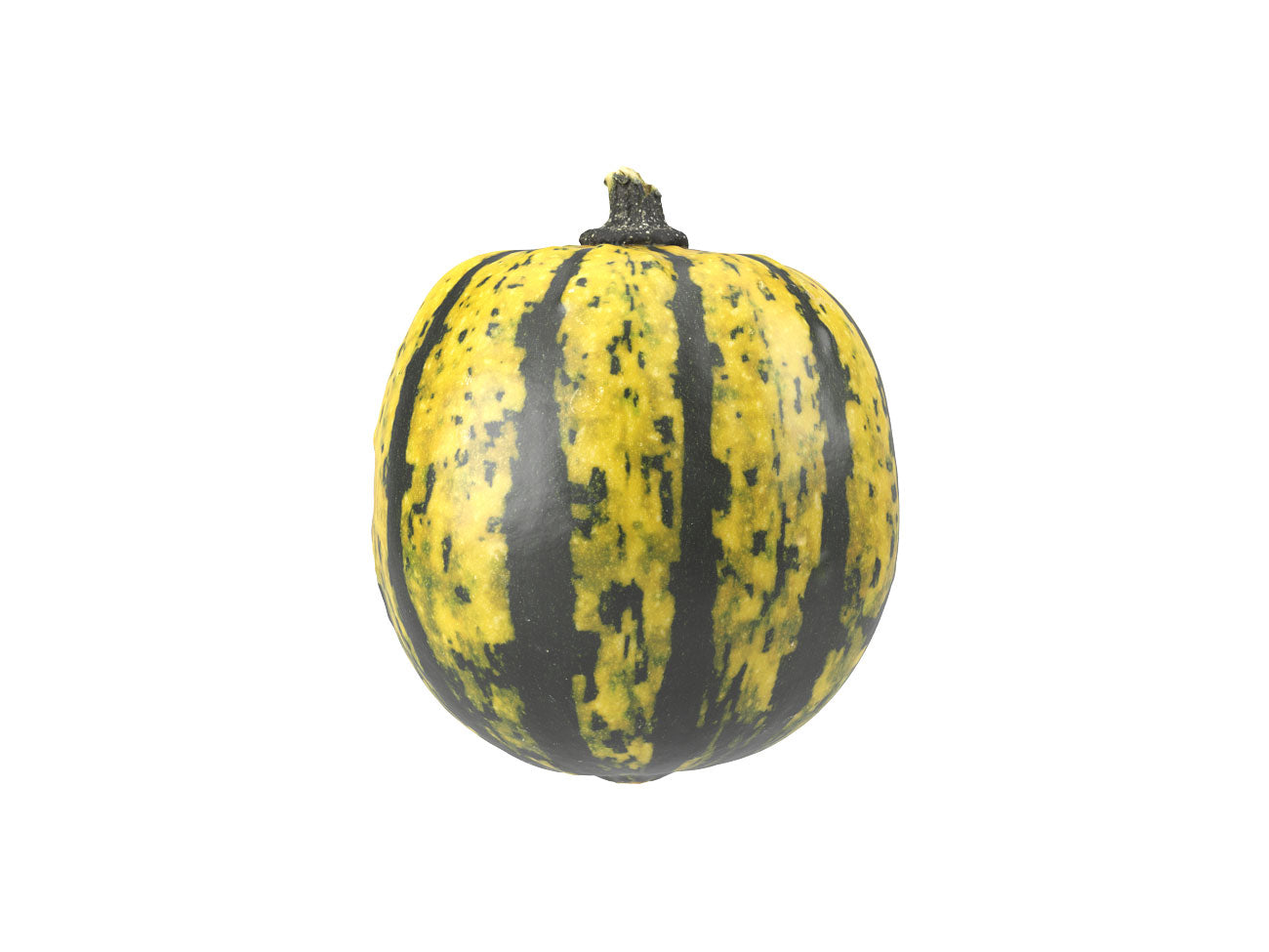 Decorative Gourd #2