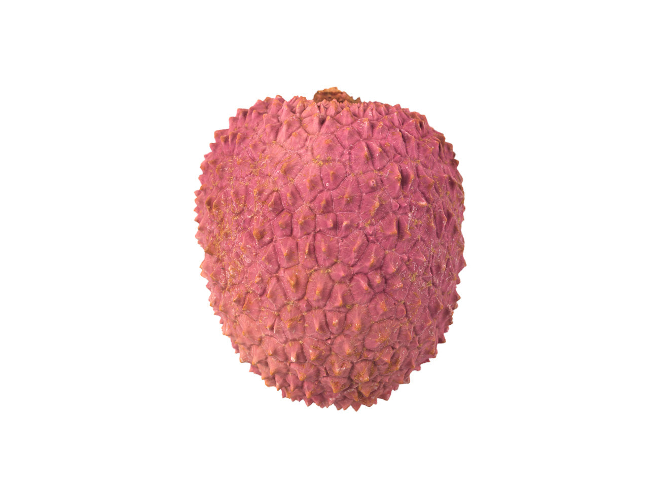 Lychee #1