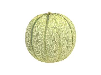 Charentais Melon #1