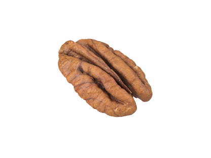 Pecan Nut #1