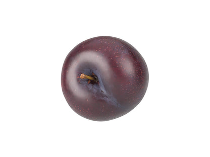 Plum #2