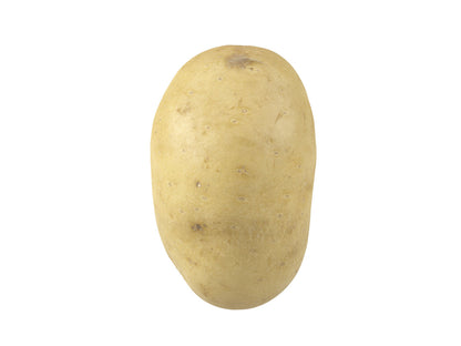 Potato #1