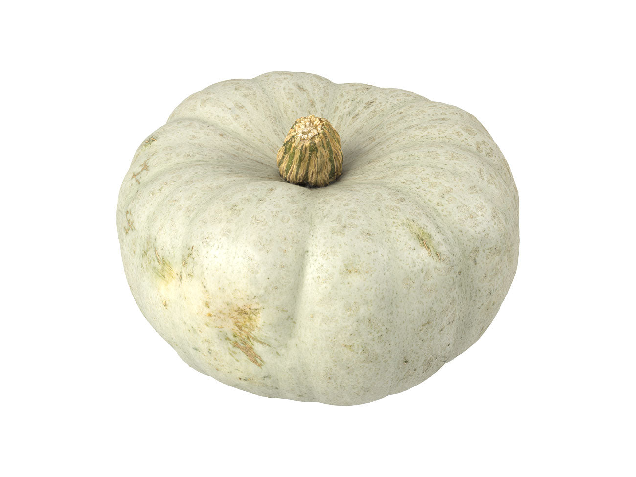 Kabocha Squash #1