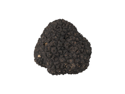 Truffle#1