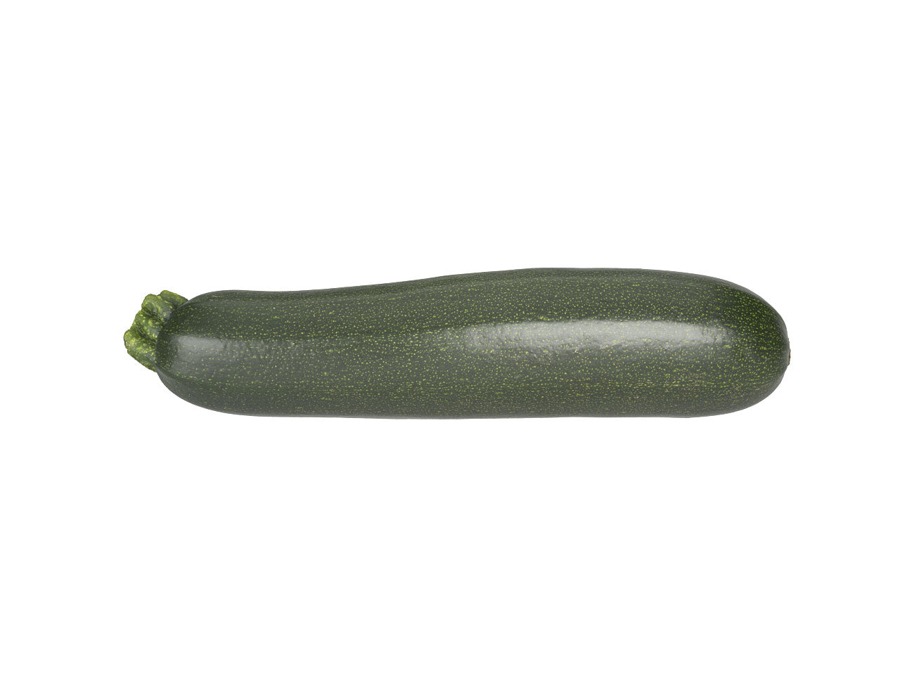 Zucchini #1