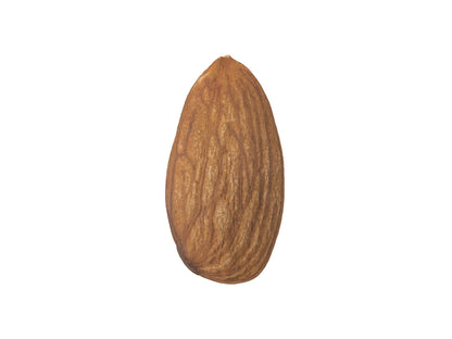 Almond #1