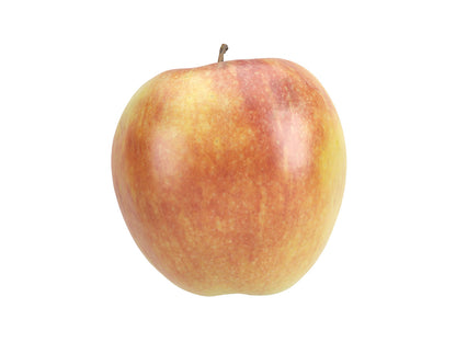 Apple #1