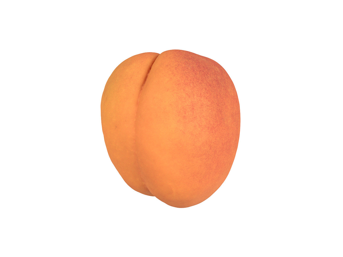 Apricot #1