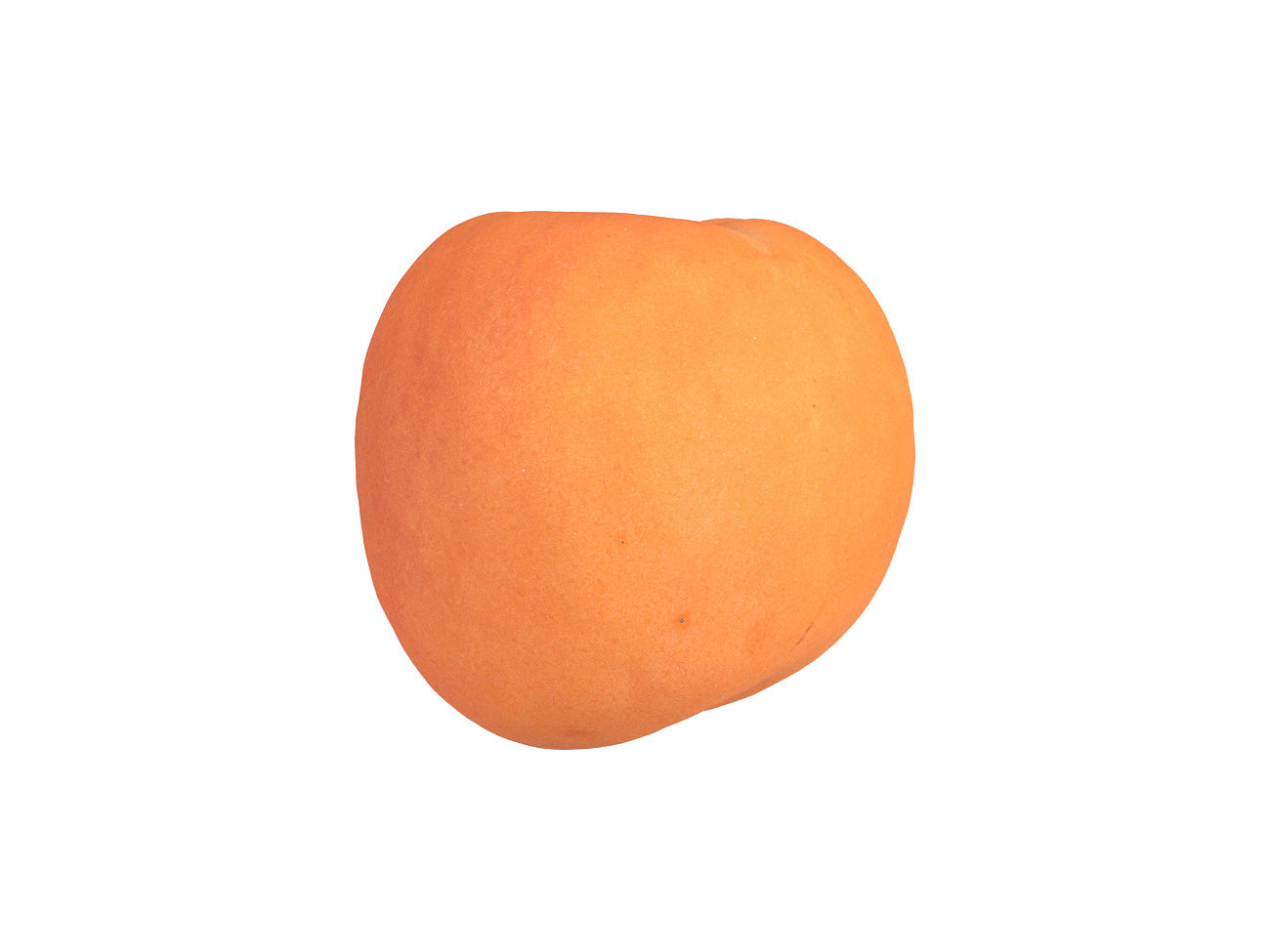 Apricot #2