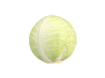 Cabbage #1