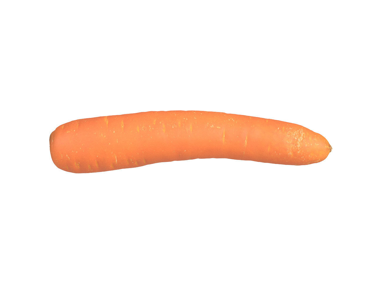 Carrot #1