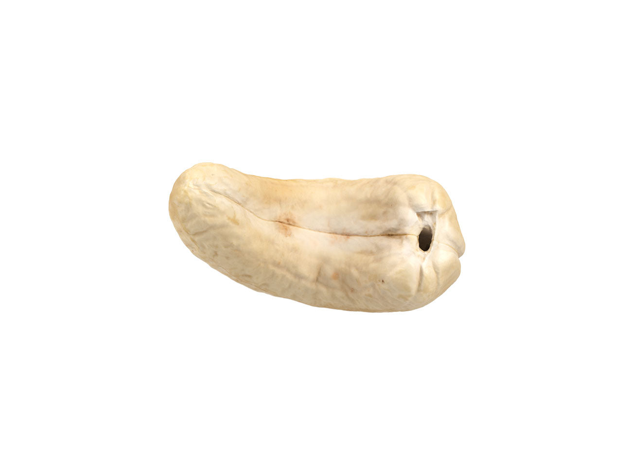 Cashew Nut #1