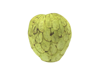 Cherimoya #1