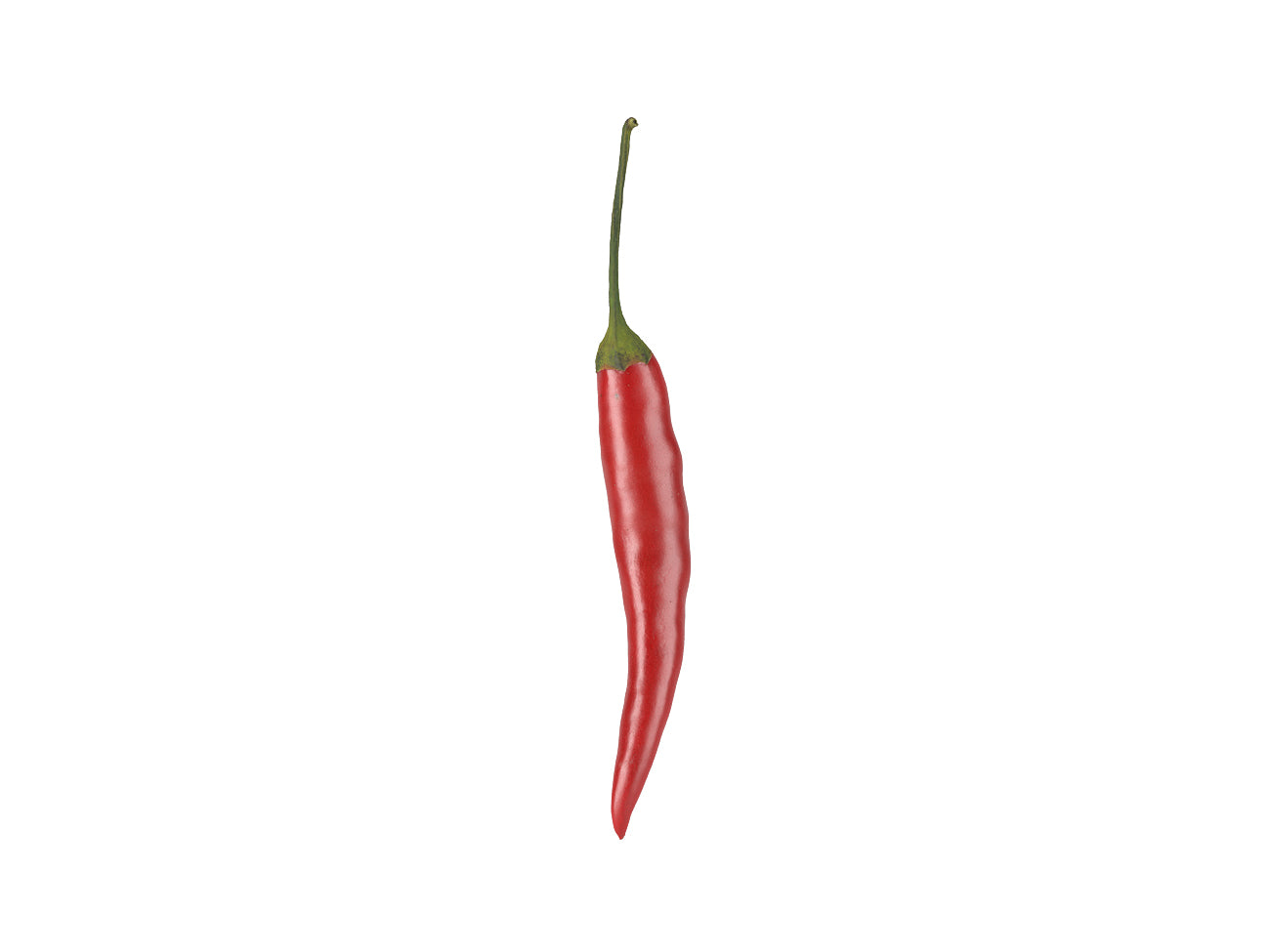 Chili #1