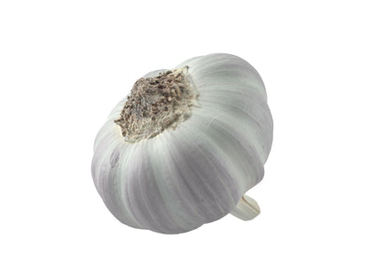 Garlic #1