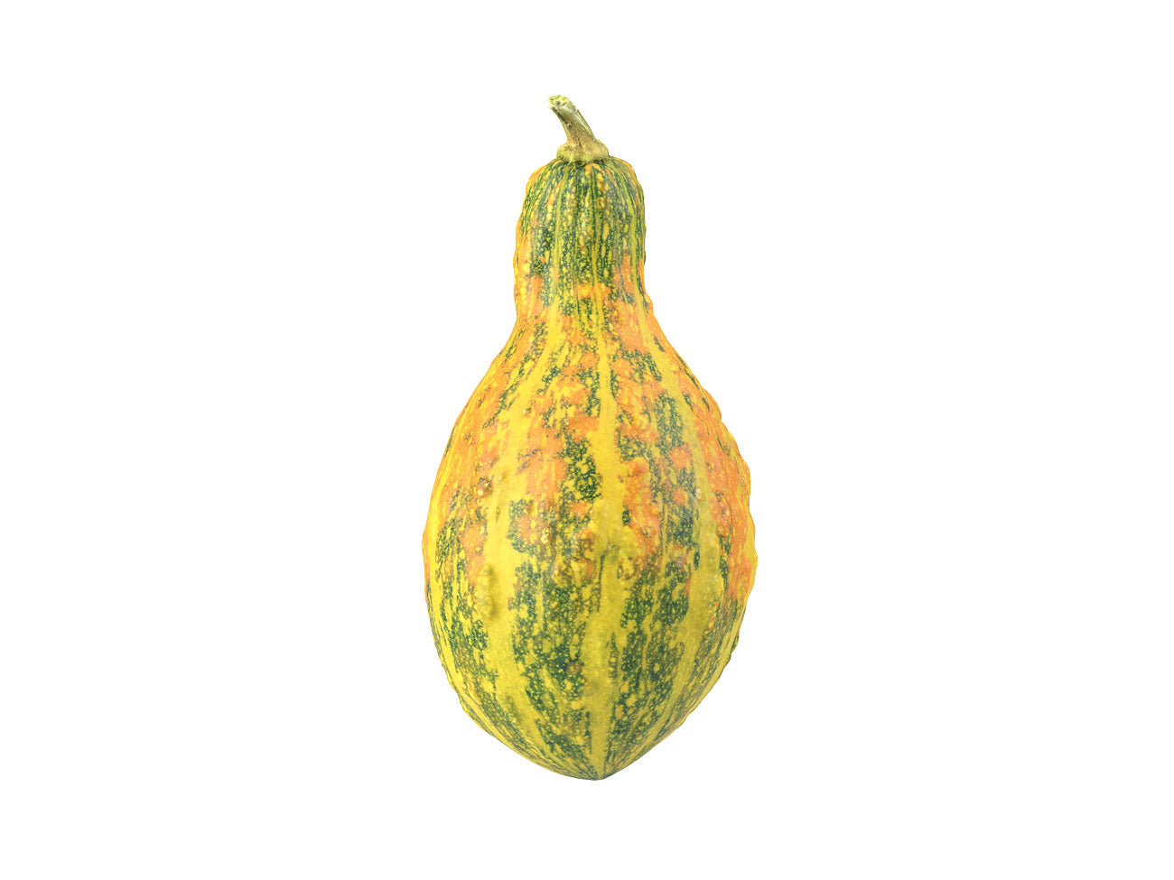 Decorative Gourd #1