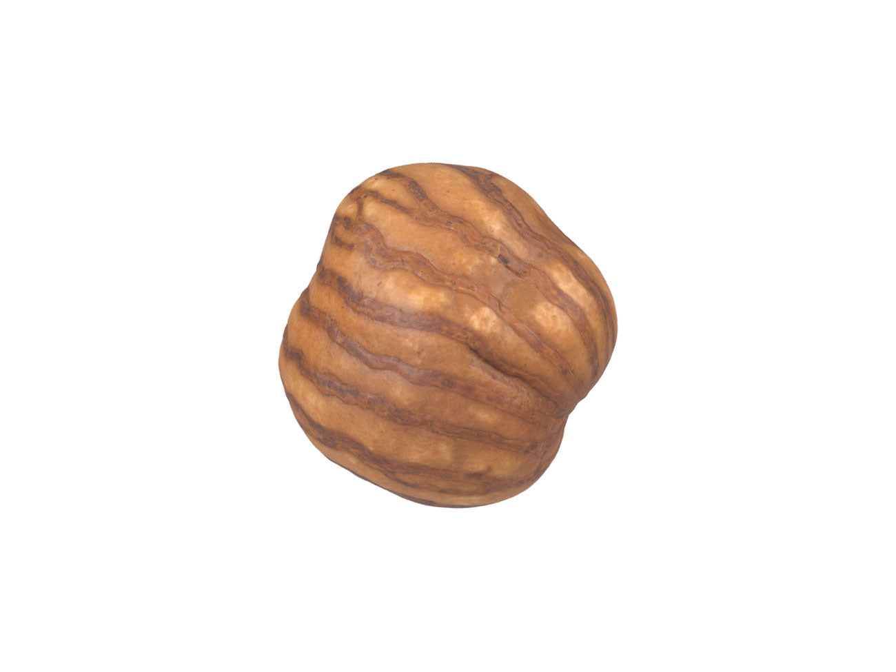 Hazelnut Kernel #2