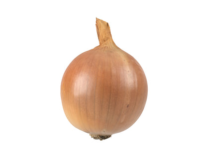 Onion #1