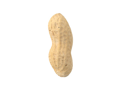 Peanut #1